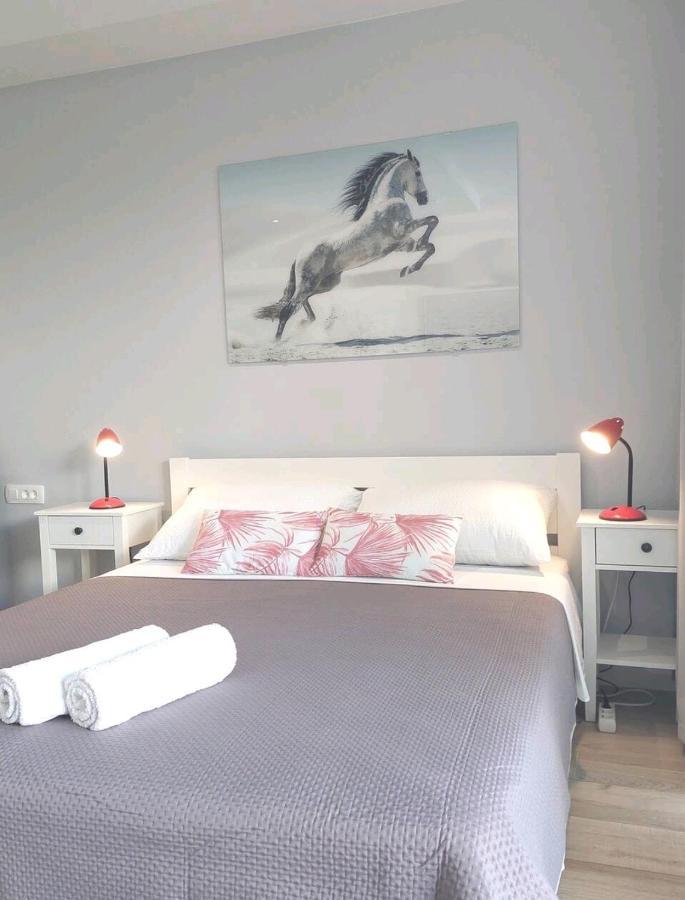 Gorgeous Dubrovnik Sea View Apartment With Free Parking Екстериор снимка